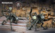 ALIEN WARRIOR XL