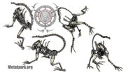 ALIEN WARRIOR S 