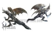 DRAGON XXL