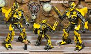 BUMBLE S - Custom Color Edition