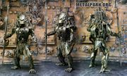 PREDATOR MASK XM 