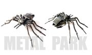 SPIDER
