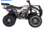 UTILITY FULL SIZE 250cc MANUAL CLUTCH ATV with 4 GEARS & REVERSE