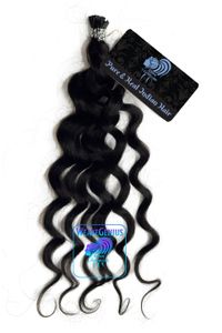 Island Curl Traditional K-Tips