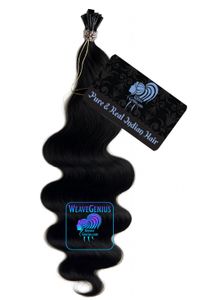 Pariswave Traditional K-Tips