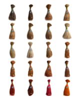 WG Raw Indian Hair Color System