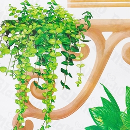 Ivy Garden - Large Wall Decals Stickers Appliques Home Decor