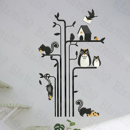 Owl & Squirrel & Bird - Wall Decals Stickers Appliques Home Decor