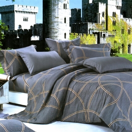 [Reminiscent Mood] Luxury 7PC Bed In A Bag Combo 300GSM (King Size)