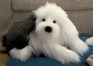 Gund 24" Norton Sr.