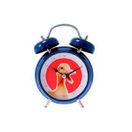 Present Time Duck Sound Alarm Clock