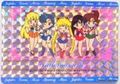 Amada Trading Card : Sailor Moon R - Hero Collection 1 : Prism Card #153 (NEAR EXCELLENT CONDITION)