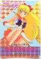 Amada Trading Card : Sailor Moon R PP3 : Soft Prism Card #135 (VERY GOOD CONDITION) 