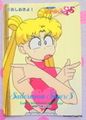 Amada Trading Card : Sailor Moon Super S PP13 : Regular Card #611 (NEAR EXCELLENT CONDITION) Amada Trading Card : Sailor Moon Super S PP13 : Regular Card #611 (NEAR EXCELLENT CONDITION)