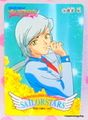 Amada Trading Card : Sailor Stars PP15 : Regular Card #758 (EXCELLENT CONDITION) Amada Trading Card : Sailor Stars PP15 : Regular Card #758 (EXCELLENT CONDITION)