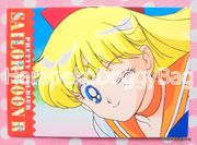 Amada Trading Cards : 5th Anniversary Memorial Set : Regular Card #24 (GOOD CONDITION)