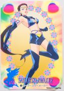 Bandai Trading Cards : Carddass - Sailor Stars Graffiti 11 Wedding Collection - Regular Card #16 (NEAR VERY GOOD CONDITION)
