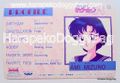 Banpresto : Sailor Moon R : Part 1 #20 Prism Card (GOOD CONDITION)