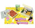 Megahouse Miniatures : Japanese Rabbit Sweet Shop (2006) #6 - Miniature Kawaii Outdoor Lunch Bento
