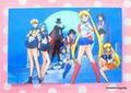 Movic Laminated Card : Sailor Moon S : Sailor Team / Moon (NEAR MEDIUM GOOD CONDITION)