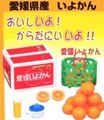 Re-ment Furusato Postal Food #13 / Secret Color Variation Set - Miniature Mandarin Oranges / Iyokan  