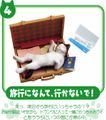 Re-ment Miniatures : Petit Animal Series Puchi Cat Diary (2007) #4 - Miniature Cat Sleeping in a Suitcase