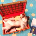 Re-ment Miniatures : Petit Animal Series Puchi Cat Diary (2007) #4 - Miniature Cat Sleeping in a Suitcase