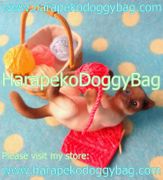 Re-ment Miniatures : Petit Animal Series Puchi Cat Diary (2007) #5 - Miniature Cat With Knitting & Yarn Balls Re-ment Miniatures : Petit Animal Series Puchi Cat Diary (2007) #5 - Miniature Cat With Knitting & Yarn Balls