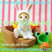 Re-ment Miniatures : Petit Animal Series Puchi Cat Diary (2007) #9 - Miniature Cat Sitting With Animal Hats Re-ment Miniatures : Petit Animal Series Puchi Cat Diary (2007) #9 - Miniature Cat Sitting With Animal Hats