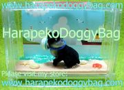 HarapekoDoggyBag / Re-ment Miniatures : Going Out With Dogs Today (2007) #1 - Miniature Black Pug Dog & Summer Beach (SOLD OUT)