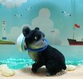 HarapekoDoggyBag / Re-ment Miniatures : Going Out With Dogs Today (2007) #1 - Miniature Black Pug Dog & Summer Beach (SOLD OUT)