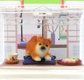 Re-ment Miniatures : Going Out With Dogs Today (2007) #4 - Miniature Japanese Shiba Inu Dog & Confectionery