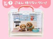 Re-ment Miniatures : Going Out With Dogs Today (2007) #7 - Miniature Dachshund Dogs & Lunch Time