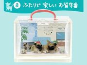 Re-ment Miniatures : Going Out With Dogs Today (2007) #8 - Miniature Pug Dogs & Room Set
