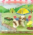 HarapekoDoggyBag / Re-ment Miniatures : Going Out With Dogs Today (2007) #9 - Miniature Shih Tzu Dog & Outdoor Campsite (SOLD OUT)