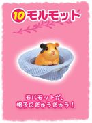 Re-ment Miniatures : Gyu Gyu Pets (2009) #10 - Miniature Guinea Pig Pet