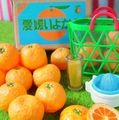 Re-ment Miniatures : Fresh Hometown Produce From the Farm (2003) #3 - Miniature Japanese Iyokan Mandarin Oranges
