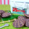 Re-ment Miniatures : Fresh Hometown Produce From the Farm (2003) #7 - Miniature Japanese Hotate Scallops