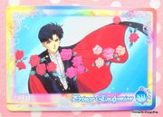 Bandai Trading Cards : Carddass Sailor Moon World EX3 : Regular Card N33 (EXCELLENT CONDITION)