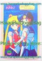 Yamakatsu Card : Sailor Moon Deluxe Double-Sided Prism Pro Card - Sailor Moon & Luna (NEAR GOOD CONDITION)