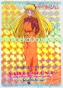 Amada Trading Card : Sailor Moon R PP4 : Hard Prism Card #179 (1993) (NEAR EXCELLENT CONDITION)  