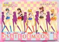 Amada Trading Card : Sailor Moon R PP6: Regular Card #310 (GOOD CONDITION) Amada Trading Card : Sailor Moon R PP6: Regular Card #310 (GOOD CONDITION)
