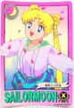 Bandai Trading Cards : Carddass Graffiti 3 : Regular Card #93 (VERY GOOD CONDITION)