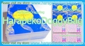 Banpresto Trading Cards : Sailor Moon R : Uranai Cards - Full Set of 36 Regular Cards (1994) (VERY GOOD CONDITION)    