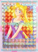 Amada Trading Card : Sailor Moon R Hero Collection 2 : Prism Card #307 (1993) (EXCELLENT CONDITION)   