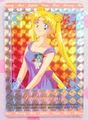 Amada Trading Card : Sailor Moon R Hero Collection 2 : Prism Card #307 (1993) (EXCELLENT CONDITION)   