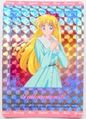Amada Trading Card : Sailor Moon R Hero Collection 2 : Prism Card #309 (1993) (NEAR EXCELLENT CONDITION)