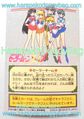 Bandai Trading Cards : Sailor Moon R Carddass Graffiti 2 : Prism Card #43 (1993) (NEAR VERY GOOD CONDITION) Bandai Trading Cards : Sailor Moon R Carddass Graffiti 2 : Prism Card #43 (1993) (NEAR VERY GOOD CONDITION)