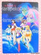 Sailor Moon R : Shitajiki/Plastic Board : Eiru/An (GOOD CONDITION)