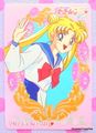 Bandai Trading Cards : Sailor Moon S Carddass W : 2 : Regular Card #67 (NEAR VERY GOOD CONDITION)